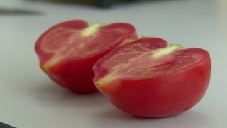 Adevărul despre roşiile cu ţugui. Sunt sau nu tratate cu substanțe chimice?