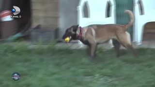 Aki, cel mai nou coleg al pompierilor din Cluj