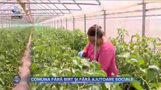 Comuna fără birt și ajutoare sociale