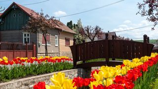 O comună din Cluj, comparată de turiști cu Olanda. "E un colț de rai"