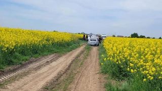 VIDEO Crima macabră de lângă București. UPDATE/ S-a identificat sexul persoanei carbonizate și tranșate