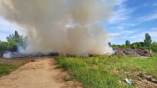 VIDEO Incendiu puternic în parcul Grozăveşti. A fost trimis mesaj Ro-Alert