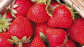 rețetă spumă de căpșuni 