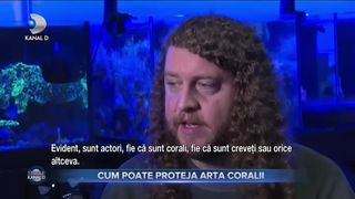 Arta protejează coralii
