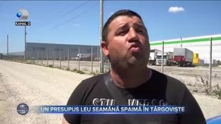 Un presupus leu seamănă spaima &icirc;n T&acirc;rgoviște