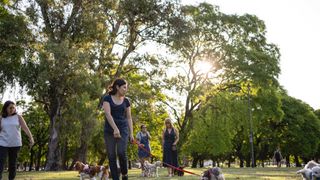 Polițiștii din Capitală au dat amenzi usturătoare pentru cei care au animale de companie și nu respectă obligațiile