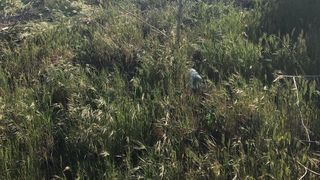 Un copil în vârstă de 12 ani s-a electrocutat în staţia CFR Feteşti. Băiatul a fost transportat la spital cu un elicopter SMURD