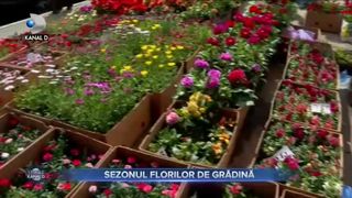 Sezonul florilor de grădină
