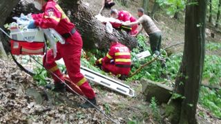 Incident dramatic &icirc;ntr-o pădure din Sibiu! Un bărbat a murit după ce copacul pe care &icirc;l tăia s-a prăbușit peste el