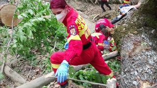 Incident dramatic &icirc;ntr-o pădure din Sibiu! Un bărbat a murit după ce copacul pe care &icirc;l tăia s-a prăbușit peste el