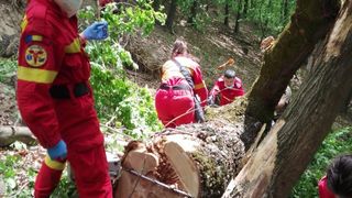 Incident dramatic &icirc;ntr-o pădure din Sibiu! Un bărbat a murit după ce copacul pe care &icirc;l tăia s-a prăbușit peste el