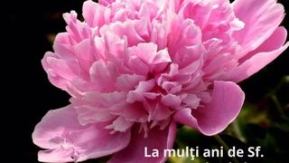 Urări de Sf. Constantin şi Elena 2022: La mulţi ani de ziua numelui!