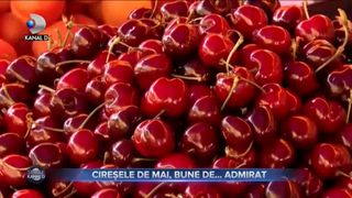 Cireșele de mai, bune de...admirat