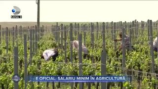 E oficial - salariul minim &icirc;n agricultură