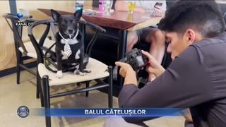 Balul cățelușilor