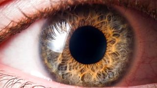 Ce este boala Wilson: simptome, cauze şi manifestări