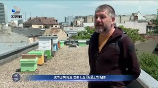 Stupina de la &icirc;nălțime