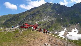 Un bărbat a fost mușcat de o viperă, în Suceava