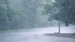  Cod galben de vreme rea în șase județe din țară