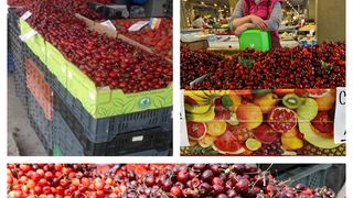 Zeci de kilograme de cireșe zac pe tarabe. Oamenii se uită și nu cumpără