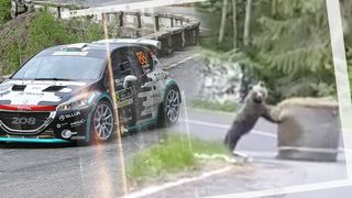 VIDEO |Urs filmat la Raliul Argeşului, &icirc;n timp ce mută un balot de paie