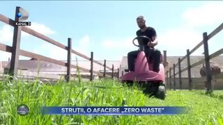 Struții, o afacere Zero Waste