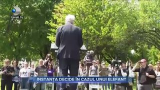 Instanța decide &icirc;n cazul unui elefant