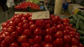 VIDEO - Producătorii cer Ministerului Agriculturii să prelungească perioada de recoltare a tomatelor pentru a nu fi forțați să folosească substanțe pentru coacere
