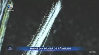 Haine din p&acirc;nză de păianjen