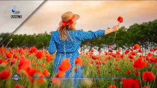 Macii, florile sezonului