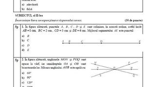 posibile subiecte Evaluarea Națională