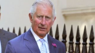 Câte proprietăți are Prințul Charles în România?