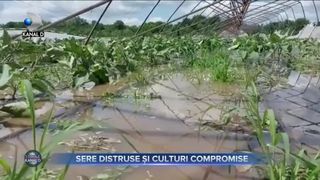 Sere distruse și culturi compromise