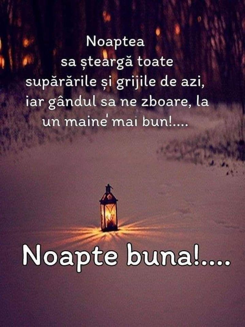 mesaje și imagini noapte bună