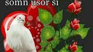 mesaje și imagini noapte bună