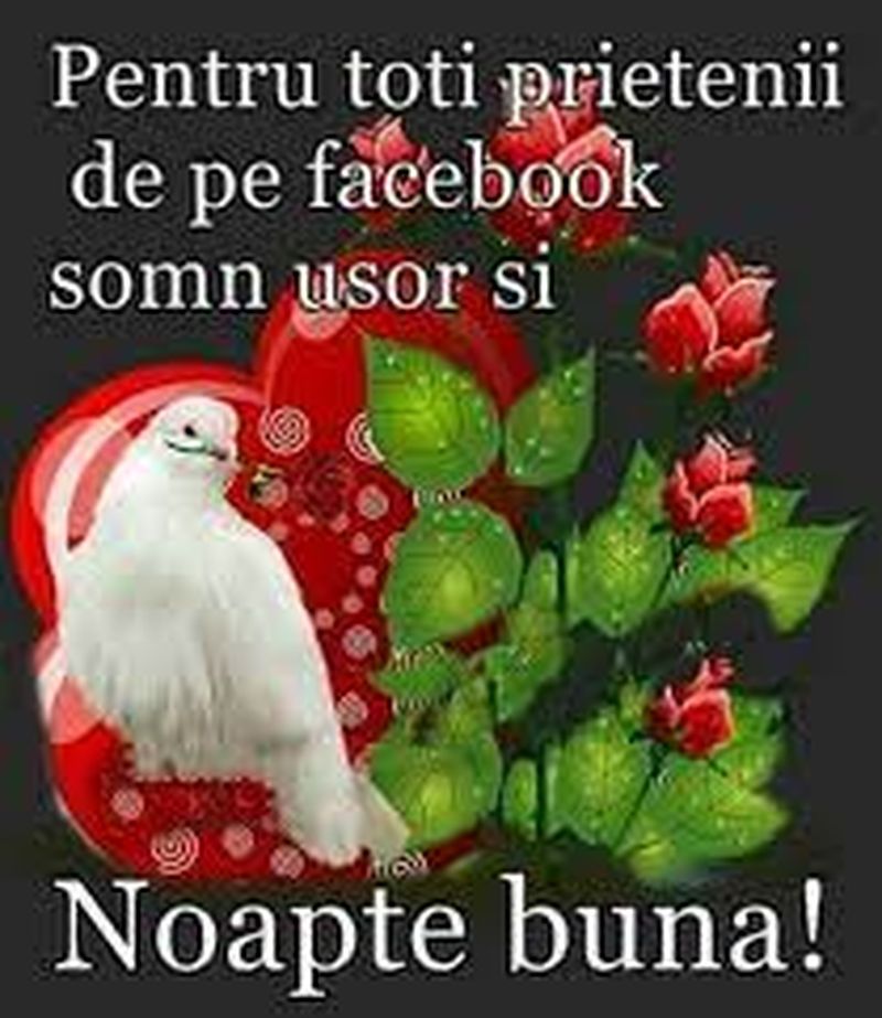 mesaje și imagini noapte bună