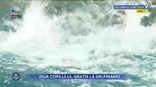 Ziua Copilului, gratis la delfinariu