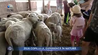 Ziua Copilului, experiență &icirc;n natură