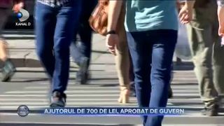 Ajutorul de 700 de lei, aprobat de Guvern
