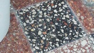 gradina-din-bucuresti-plina-de-serpi