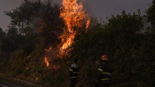 Incendiu de vegetaţie în Atena. Acolo locuiește și Sorin Oprescu
