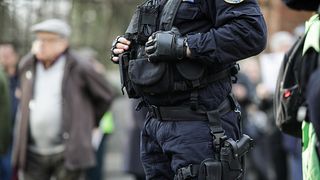 Percheziţii în Ialomița și Tulcea într-un dosar de furt cu un prejudiciu de 100.000 lei