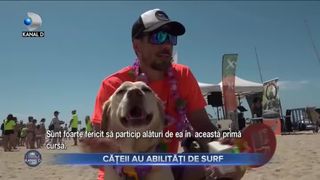 C&acirc;inii care iubesc sportul pe apă