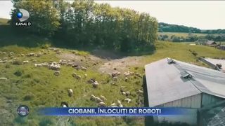 Ciobanii, inlocuiti de roboti