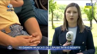 10 Oameni mușcați de căpușe într-o noapte