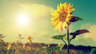 Mesaje de vară 2022. Zece urări inedite pe care să le trimiți familiei și prietenilor la început de sezon estival