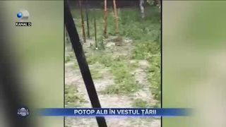 Potop alb &icirc;n vestul țării