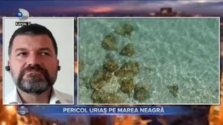 Pericol uriaș pe Marea Neagră