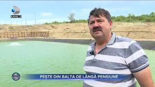 Pește din baltă l&acirc;ngă pensiune