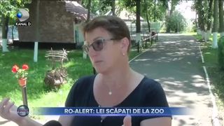 RO-Alert - lei scăpați de la Zoo